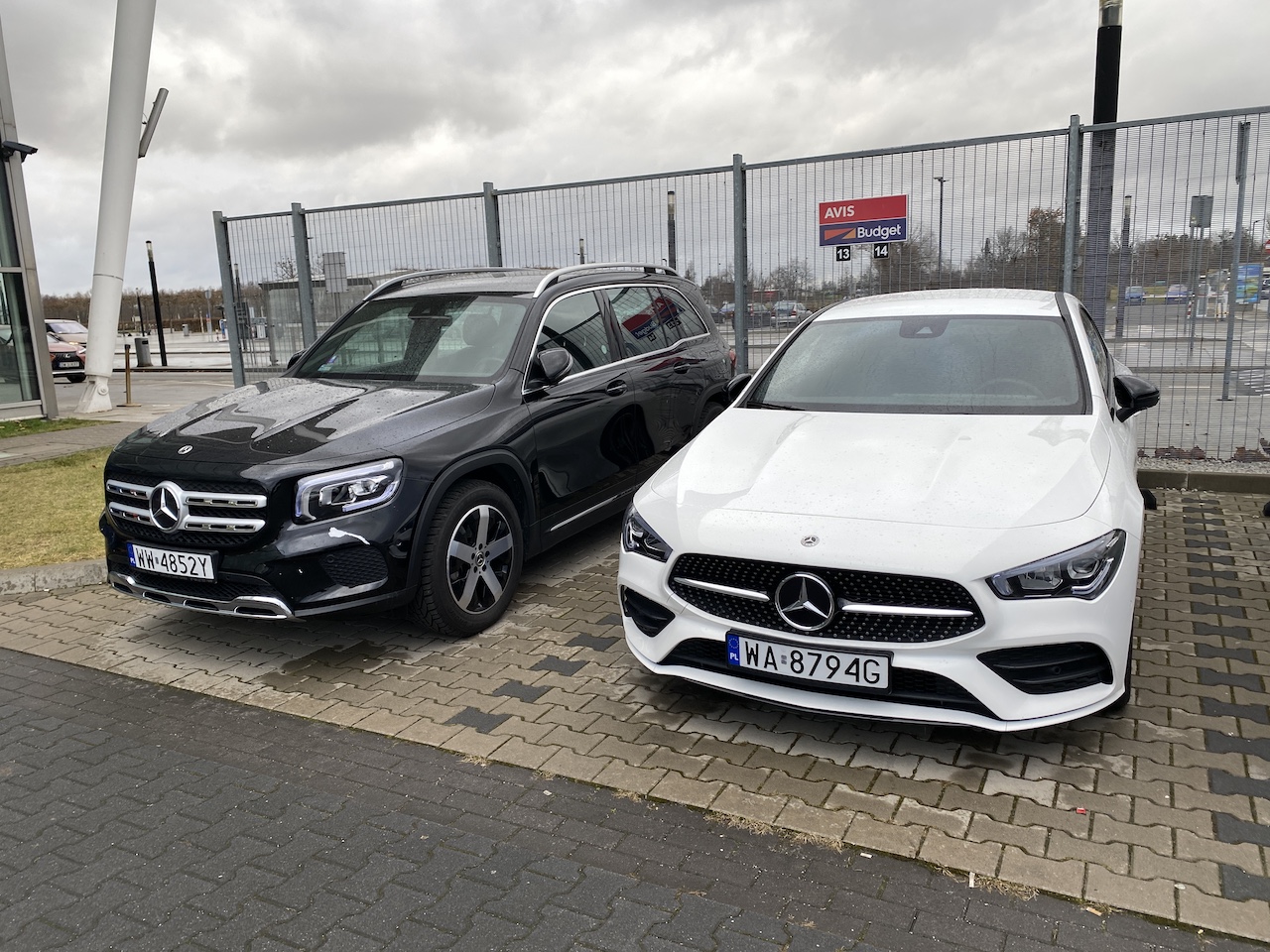 Avis_04.JPG
