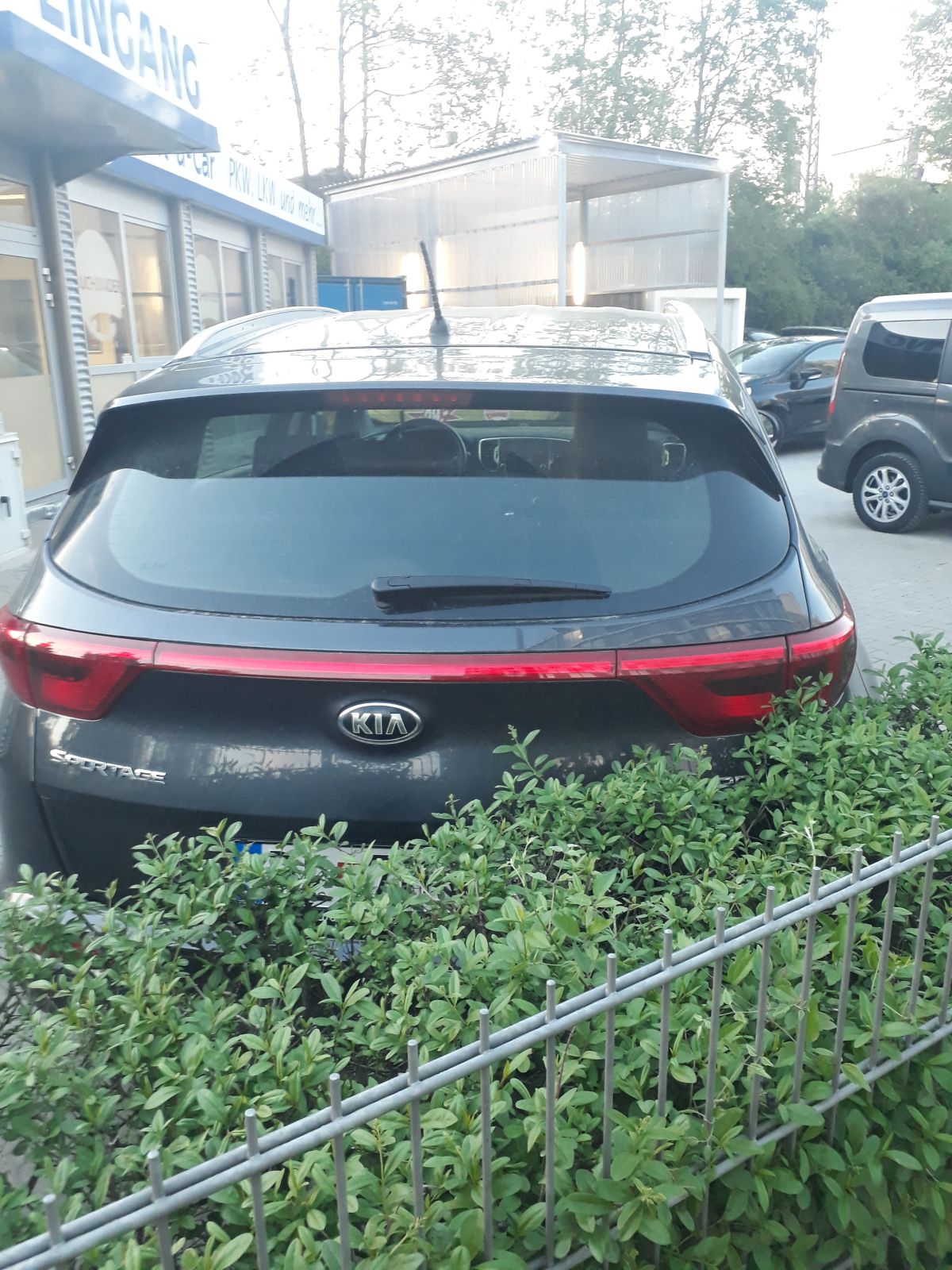Kia Sportage Buchbinder.jpg