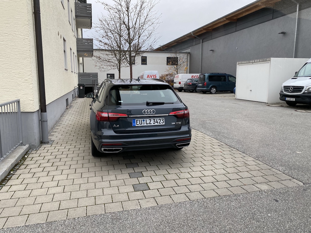 AVIS_002.JPG
