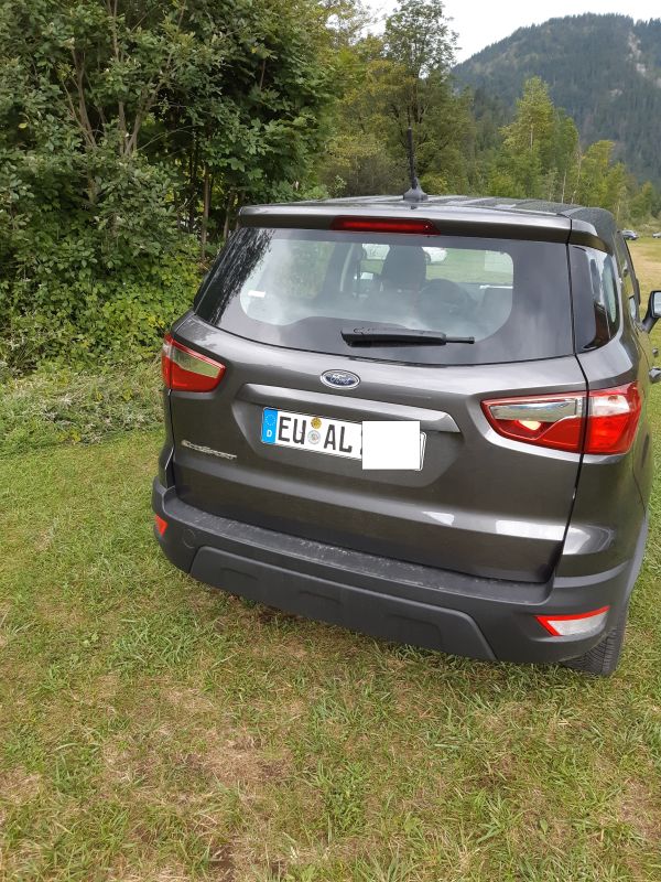 Avis..jpg