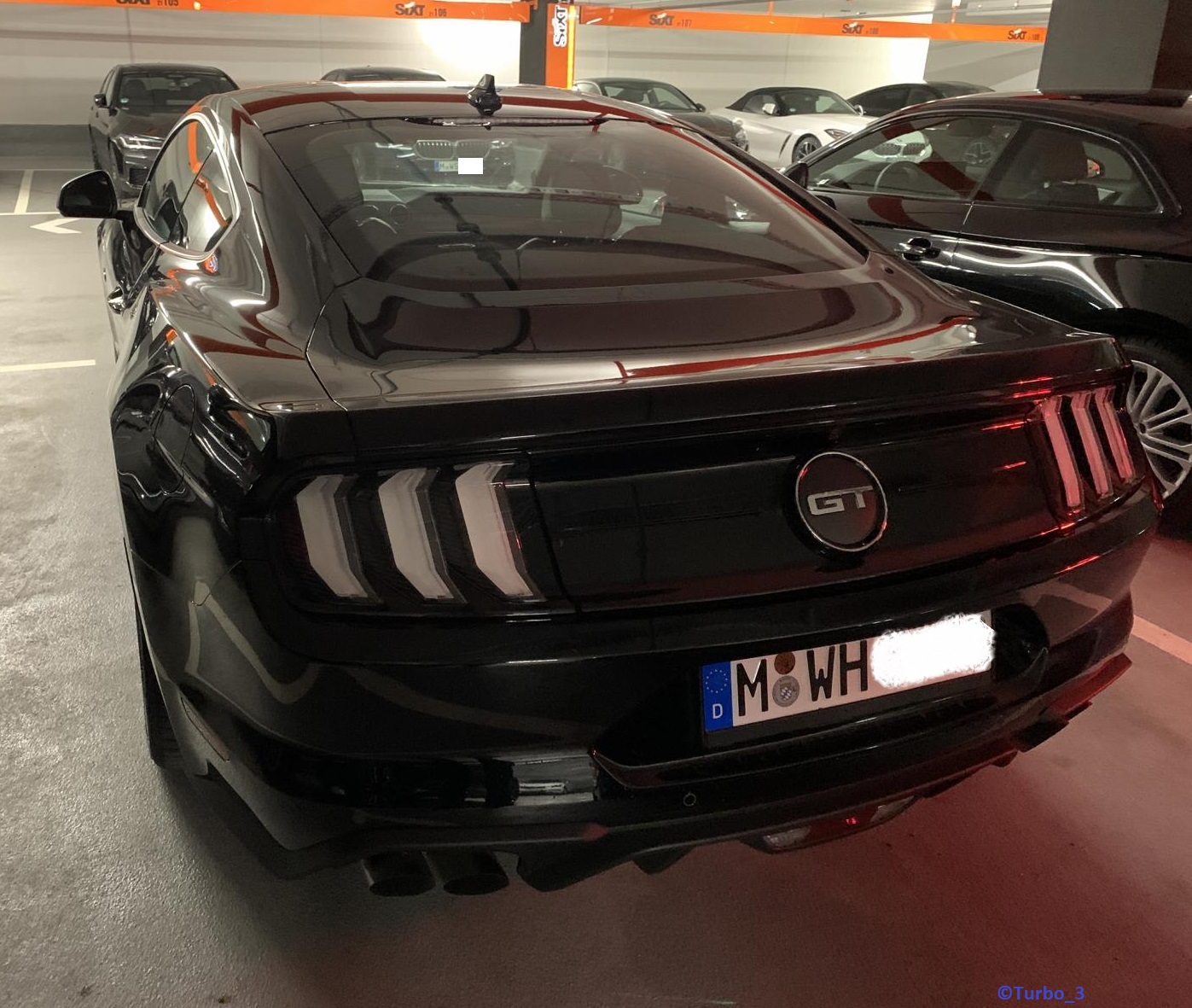 Ford Mustang GT 5.0.jpg