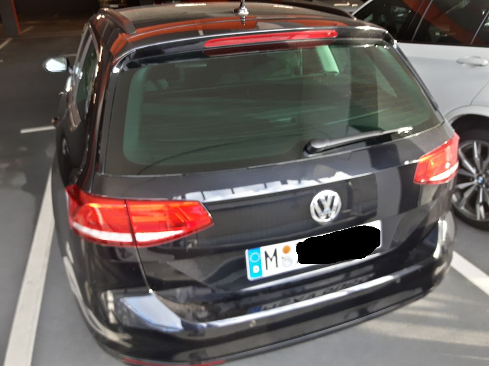 Mein Begleiter.jpg