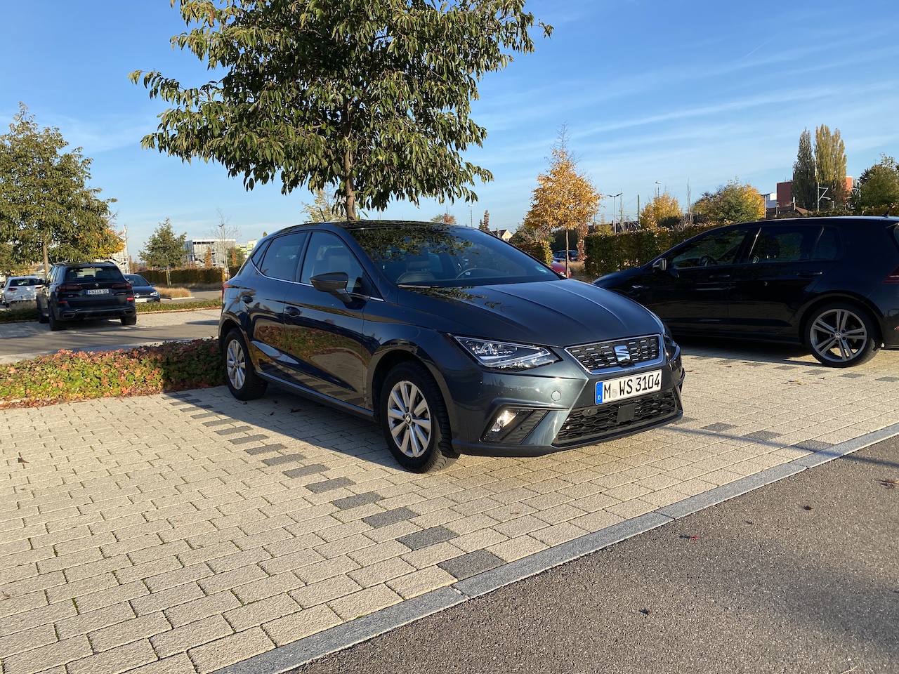 Seat Ibiza_SX.JPG